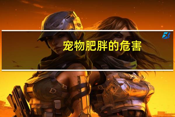 宠物肥胖的危害