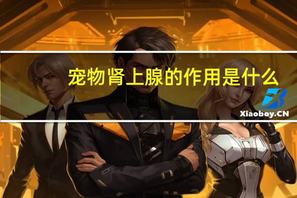 宠物肾上腺的作用是什么