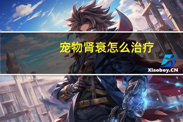 宠物肾衰怎么治疗