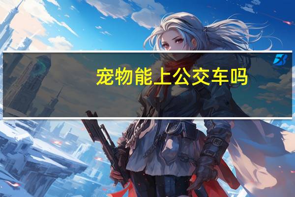 宠物能上公交车吗