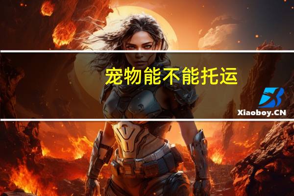 宠物能不能托运