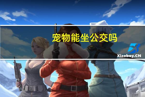宠物能坐公交吗