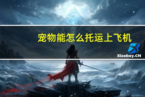 宠物能怎么托运上飞机