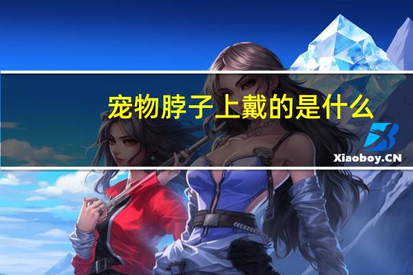 宠物脖子上戴的是什么