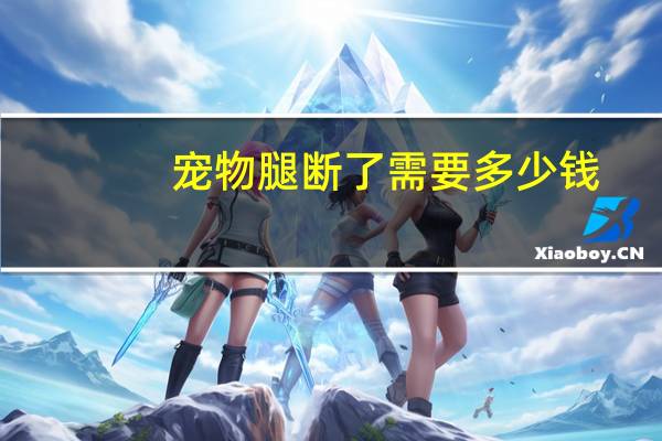 宠物腿断了需要多少钱
