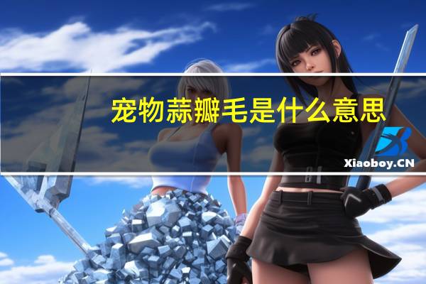 宠物蒜瓣毛是什么意思
