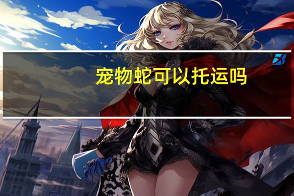 宠物蛇可以托运吗