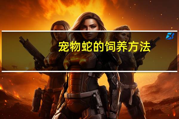 宠物蛇的饲养方法