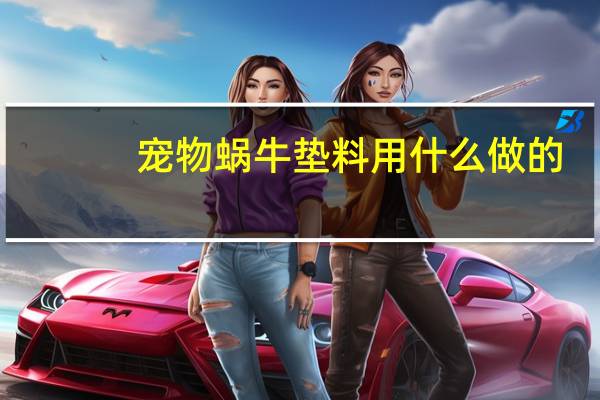 宠物蜗牛垫料用什么做的