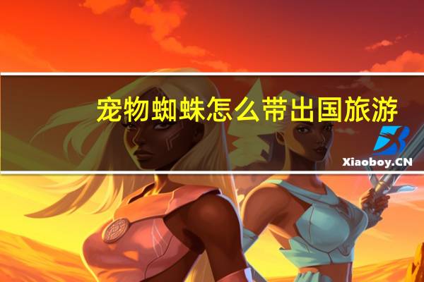 宠物蜘蛛怎么带出国旅游