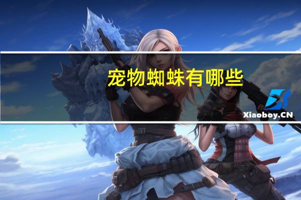 宠物蜘蛛有哪些
