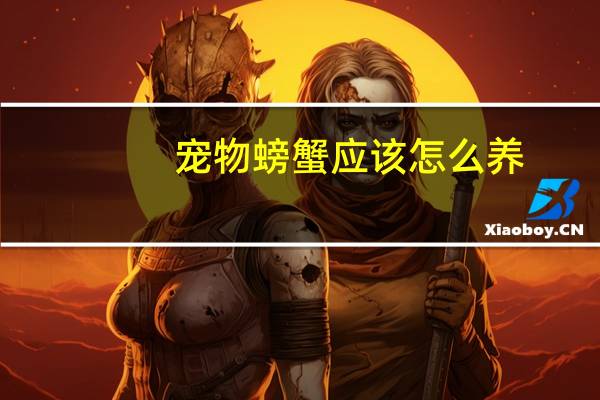 宠物螃蟹应该怎么养