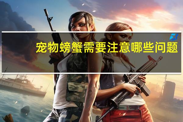 宠物螃蟹需要注意哪些问题
