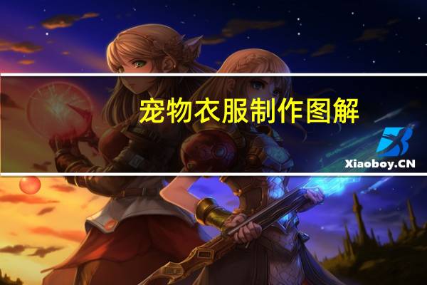 宠物衣服制作图解