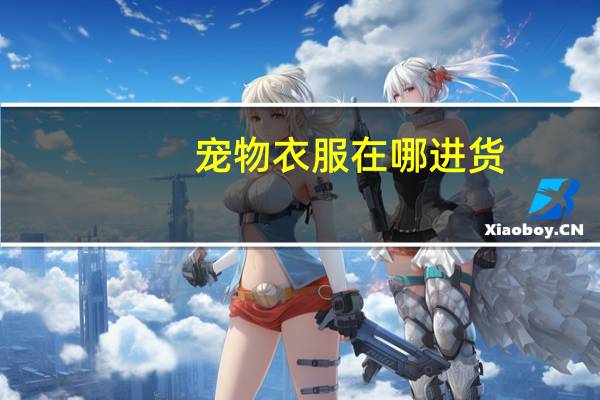 宠物衣服在哪进货