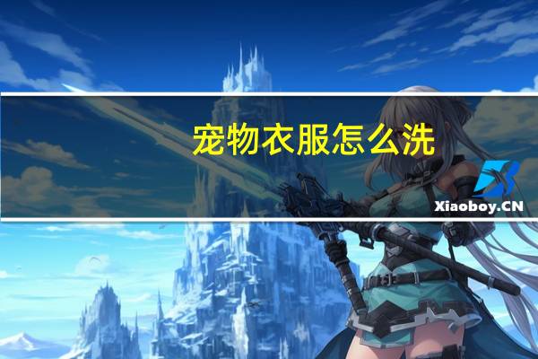 宠物衣服怎么洗