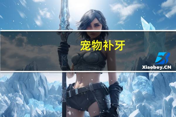 宠物补牙