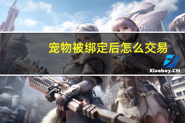 宠物被绑定后怎么交易