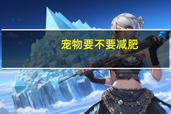 宠物要不要减肥