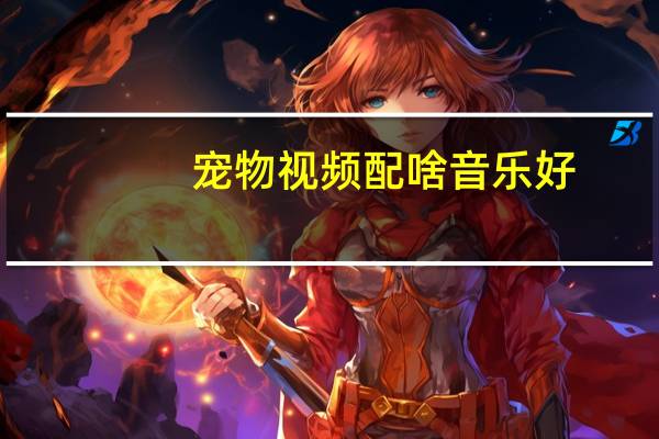 宠物视频配啥音乐好