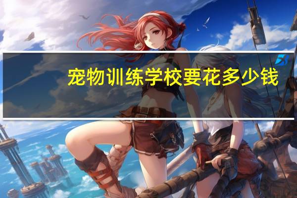 宠物训练学校要花多少钱