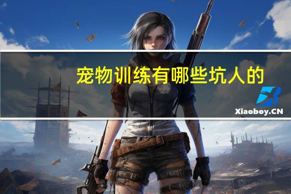 宠物训练有哪些坑人的