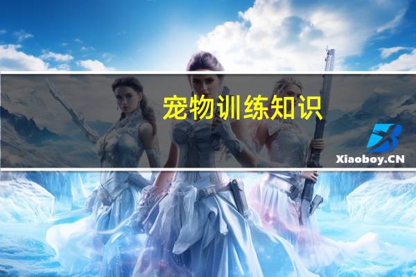 宠物训练知识