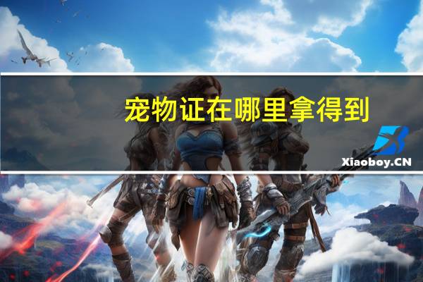 宠物证在哪里拿得到