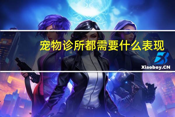 宠物诊所都需要什么表现