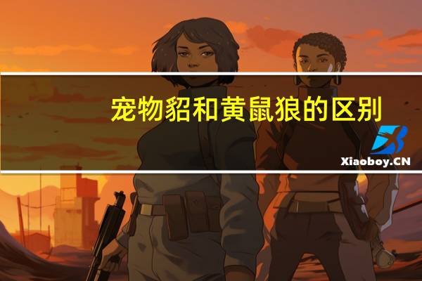 宠物貂和黄鼠狼的区别