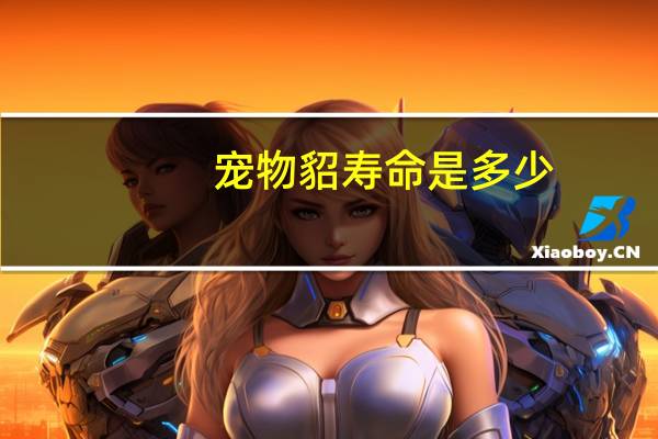 宠物貂寿命是多少