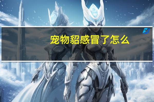 宠物貂感冒了怎么