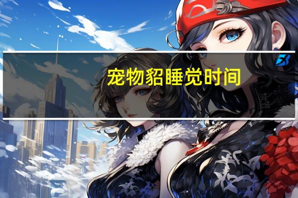 宠物貂睡觉时间