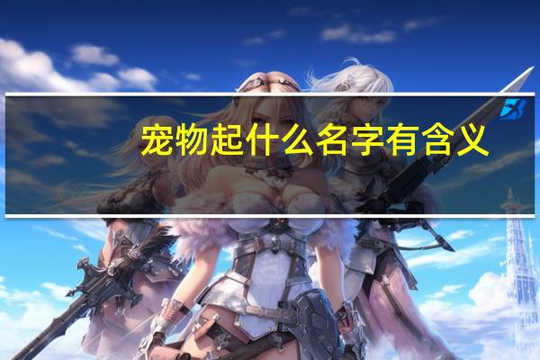 宠物起什么名字有含义