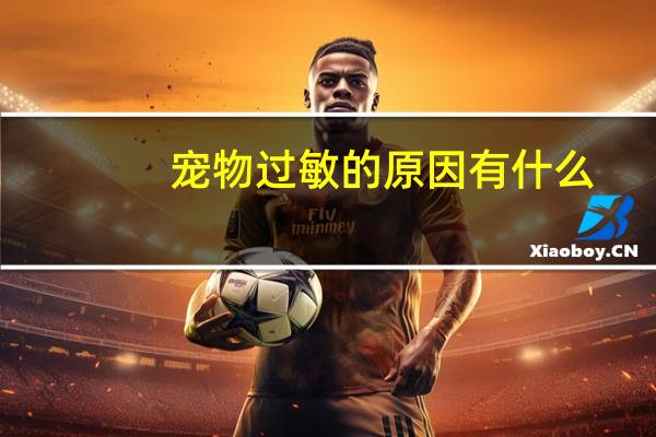 宠物过敏的原因有什么