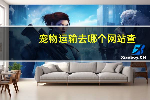 宠物运输去哪个网站查