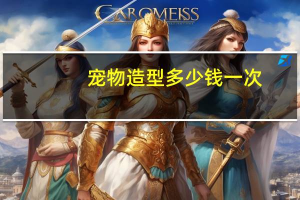宠物造型多少钱一次