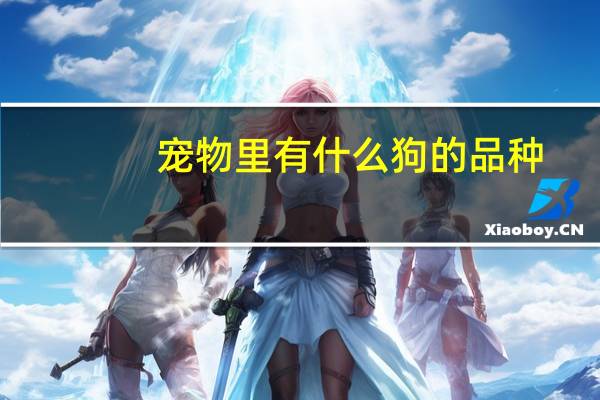 宠物里有什么狗的品种