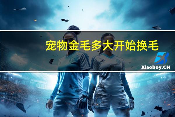 宠物金毛多大开始换毛