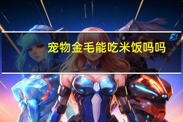 宠物金毛能吃米饭吗吗