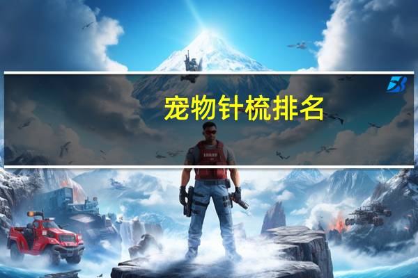 宠物针梳排名