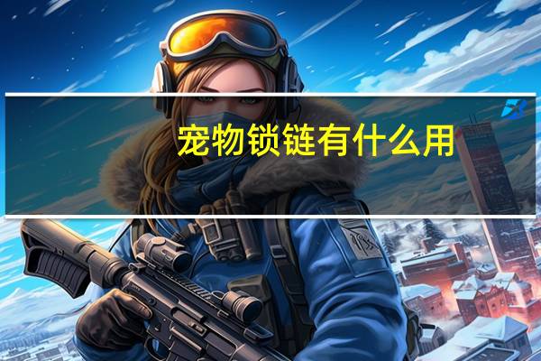 宠物锁链有什么用