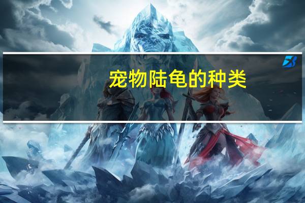 宠物陆龟的种类