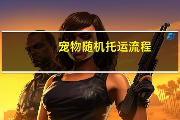 宠物随机托运流程