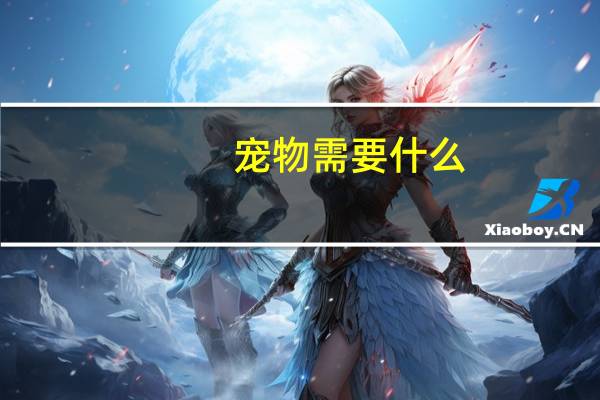 宠物需要什么