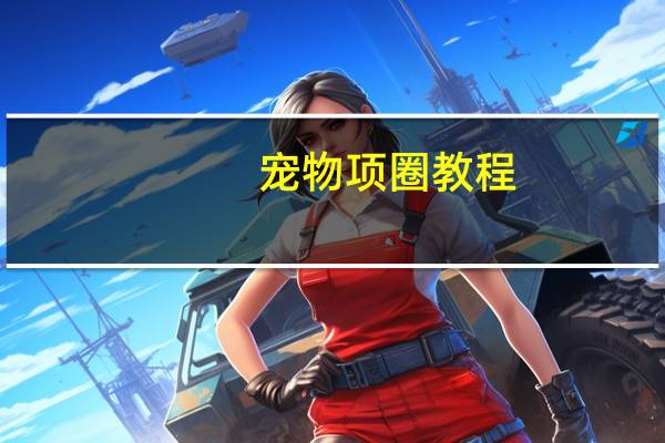 宠物项圈教程