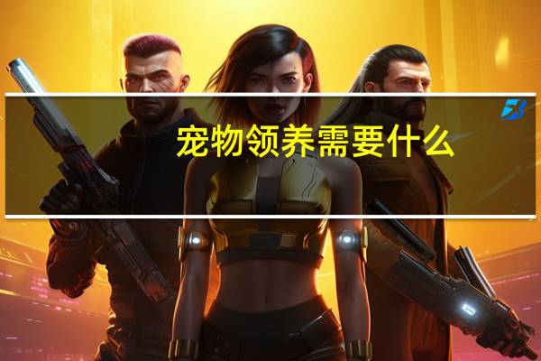 宠物领养需要什么