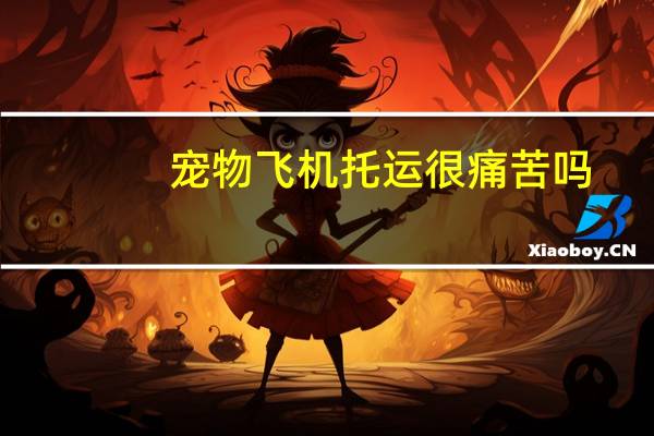 宠物飞机托运很痛苦吗
