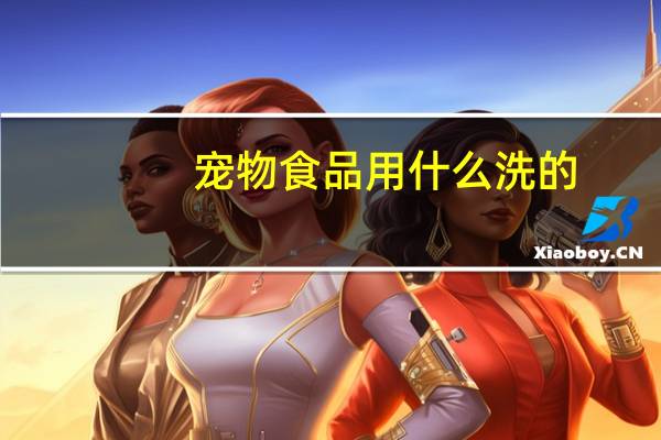 宠物食品用什么洗的