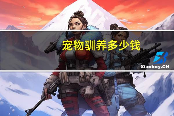 宠物驯养多少钱